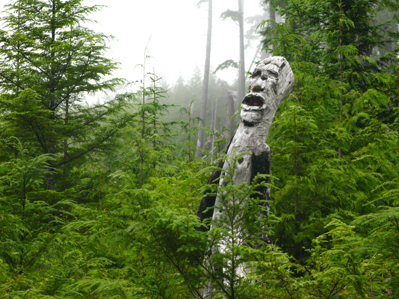 The Scream of the Wood Man